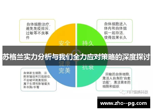苏格兰实力分析与我们全力应对策略的深度探讨 苏格兰实力分析与我们全力应对策略的深度探讨