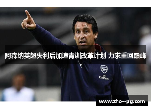 阿森纳英超失利后加速青训改革计划 力求重回巅峰