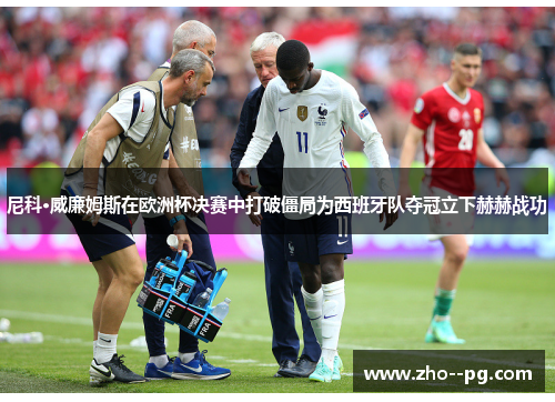 尼科·威廉姆斯在欧洲杯决赛中打破僵局为西班牙队夺冠立下赫赫战功